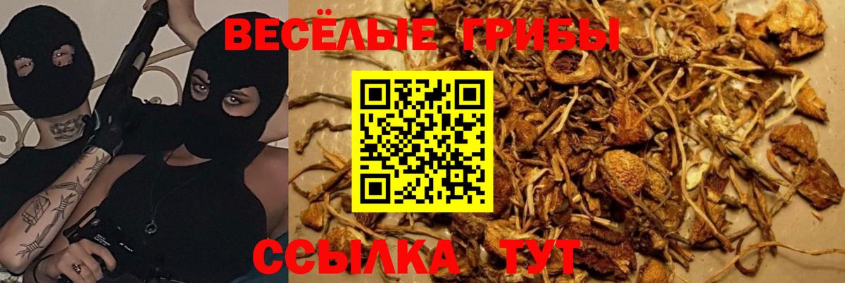 Псилоцибиновые грибы ЛСД  Вход с VPN  Галлюциногенные грибы ЛСД  Мегион 